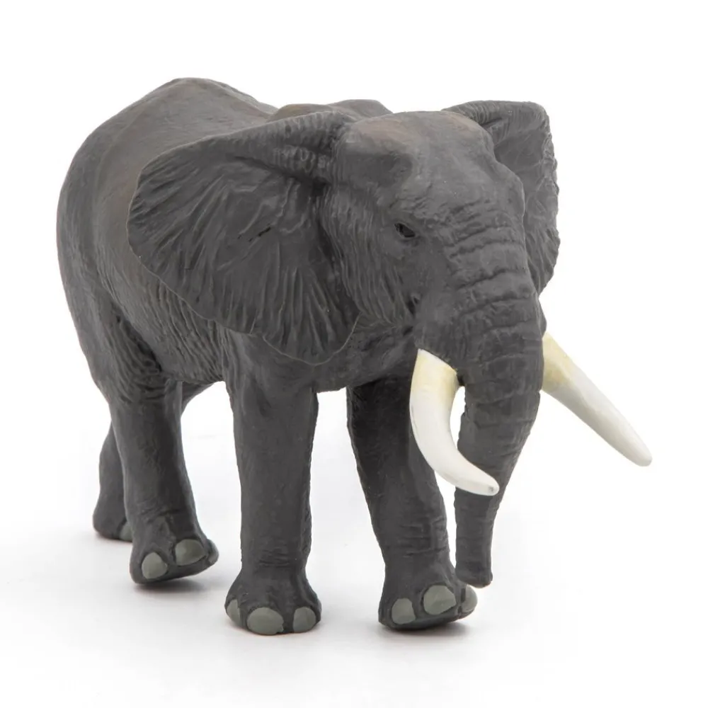 PAPO INTERNATIONAL INC. African Elephant Fashion