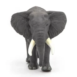 PAPO INTERNATIONAL INC. African Elephant Fashion