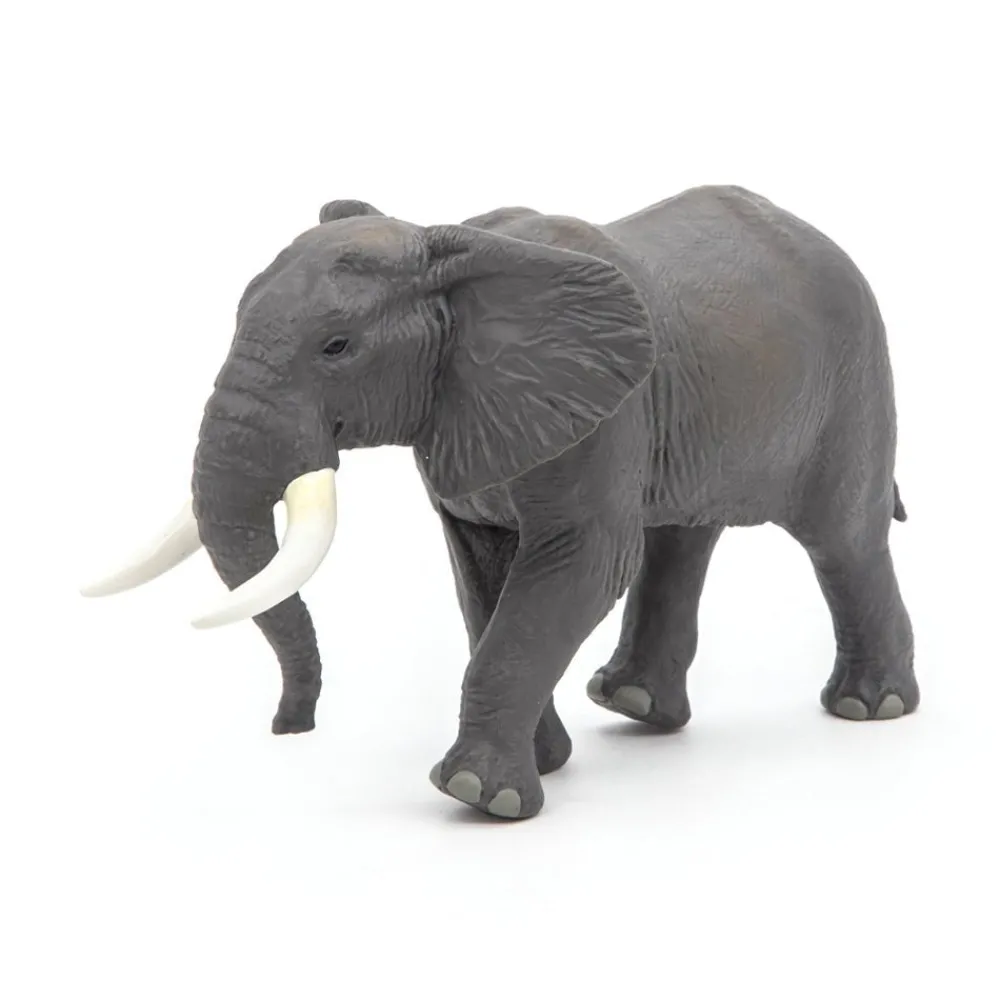 PAPO INTERNATIONAL INC. African Elephant Fashion