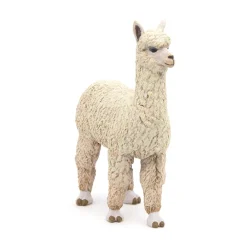 PAPO INTERNATIONAL INC. Alpaca Fashion