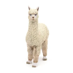 PAPO INTERNATIONAL INC. Alpaca Fashion