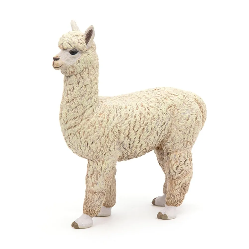 PAPO INTERNATIONAL INC. Alpaca Fashion