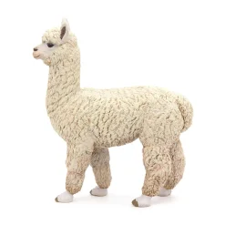 PAPO INTERNATIONAL INC. Alpaca Fashion