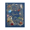 Mastermind Toys An Anthology of Aquatic Life Book Fashion