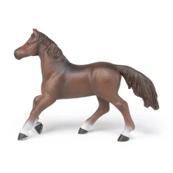 PAPO INTERNATIONAL INC. Anglo-Arab Mare Discount