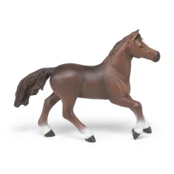 PAPO INTERNATIONAL INC. Anglo-Arab Mare Discount