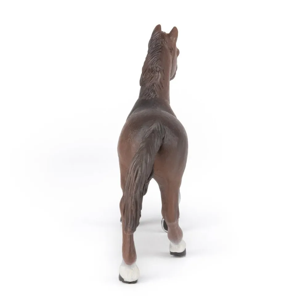 PAPO INTERNATIONAL INC. Anglo-Arab Mare Discount