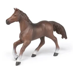 PAPO INTERNATIONAL INC. Anglo-Arab Mare Discount