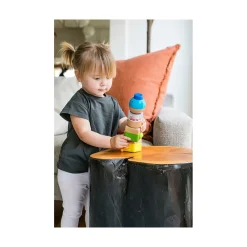 Playwell Enterprises Ltd. Baby Einstein Four Fundamentals Wooden Sensory Set Sale