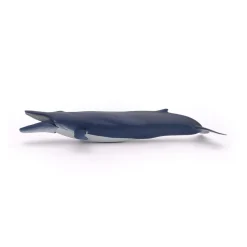 PAPO INTERNATIONAL INC. Blue Whale Sale