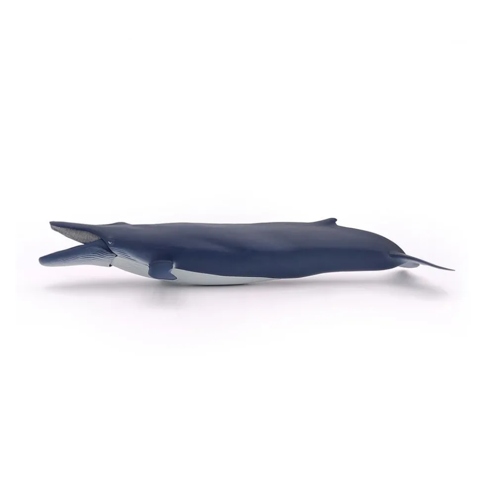 PAPO INTERNATIONAL INC. Blue Whale Sale