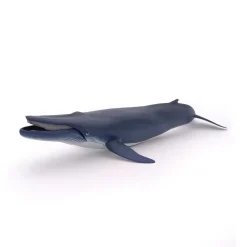 PAPO INTERNATIONAL INC. Blue Whale Sale