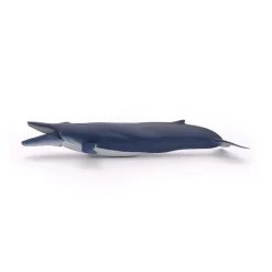 PAPO INTERNATIONAL INC. Blue Whale Sale