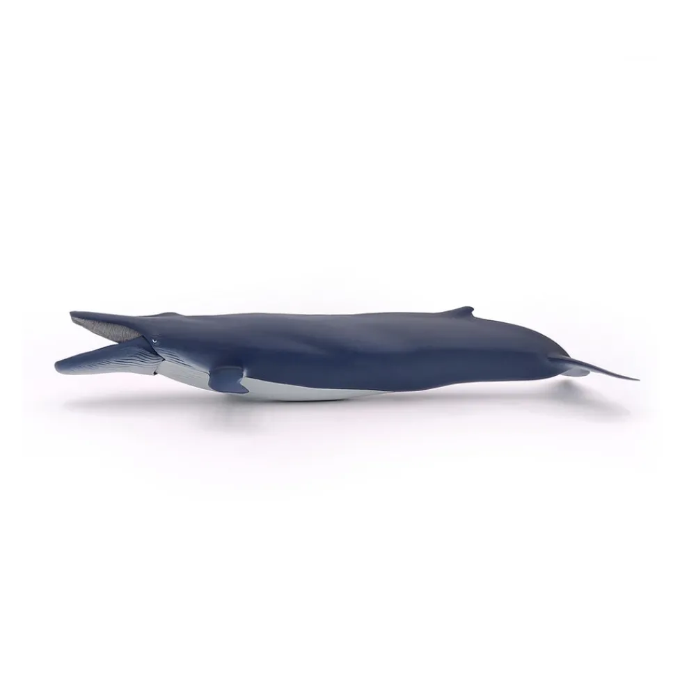 PAPO INTERNATIONAL INC. Blue Whale Sale