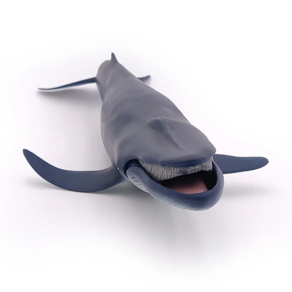 PAPO INTERNATIONAL INC. Blue Whale Sale