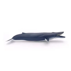 PAPO INTERNATIONAL INC. Blue Whale Sale