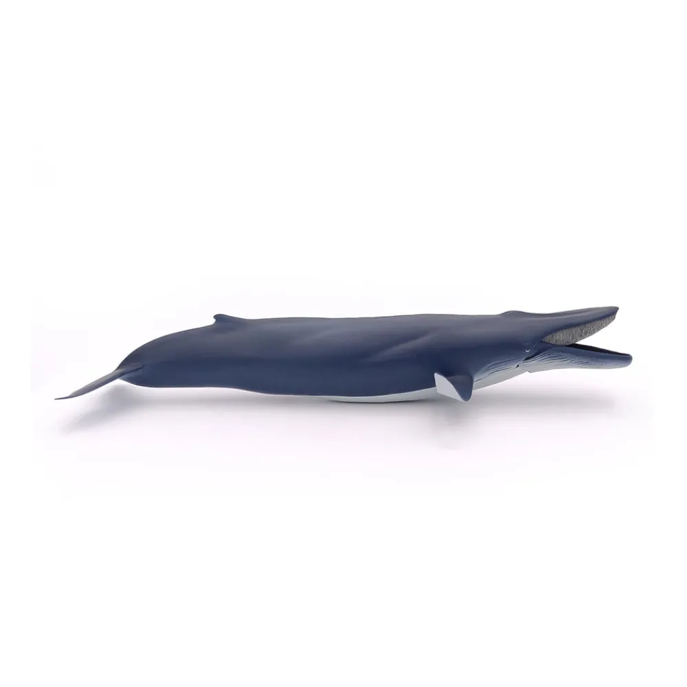 PAPO INTERNATIONAL INC. Blue Whale Sale