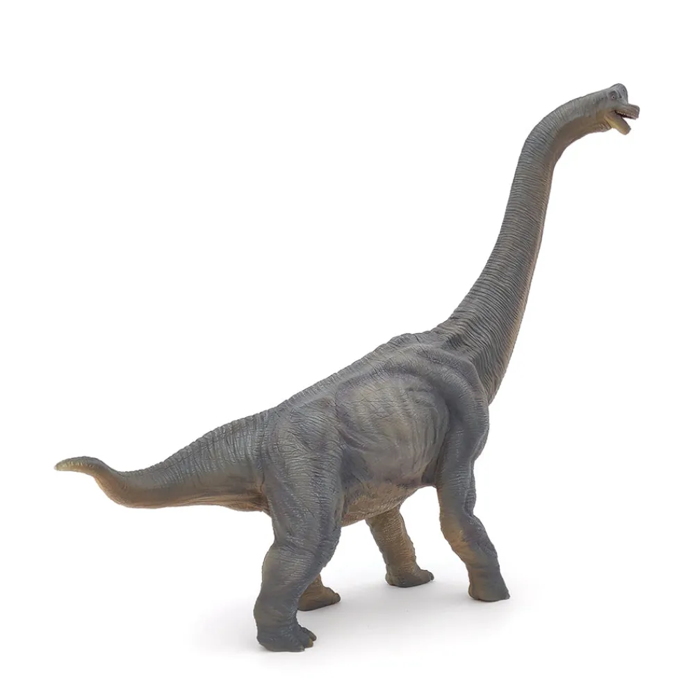 PAPO INTERNATIONAL INC. Brachiosaurus Clearance