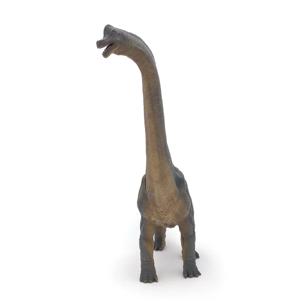PAPO INTERNATIONAL INC. Brachiosaurus Clearance