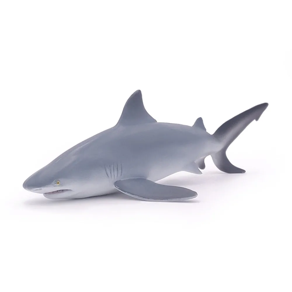 PAPO INTERNATIONAL INC. Bull Shark Sale