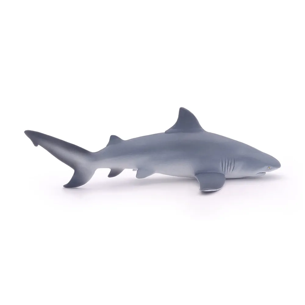 PAPO INTERNATIONAL INC. Bull Shark Sale