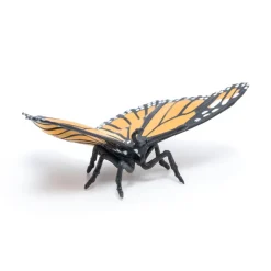 PAPO INTERNATIONAL INC. Butterfly Outlet