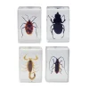 Celestron 3D Bug Specimen Kit 1 Fashion