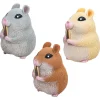 Mastermind Toys Chonky Cheeks Hamster New