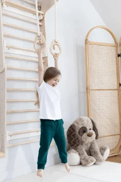 Coco Village Montessori 2-in-1 Triangle & Wall Climber Best