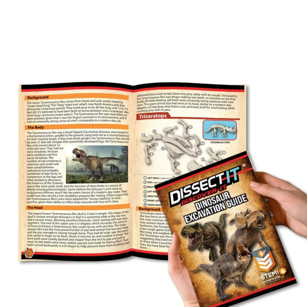 Mastermind Toys Dissect It - Dinosaur Dig Outlet