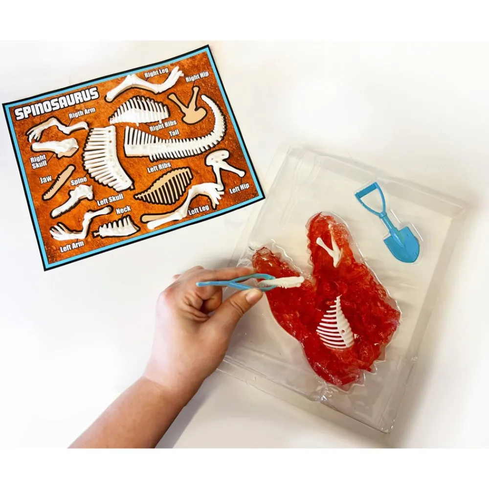Mastermind Toys Dissect It - Dinosaur Dig Outlet