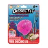 Dissect-It Dissect It - Discover It - Pearl Shucking Lab Hot