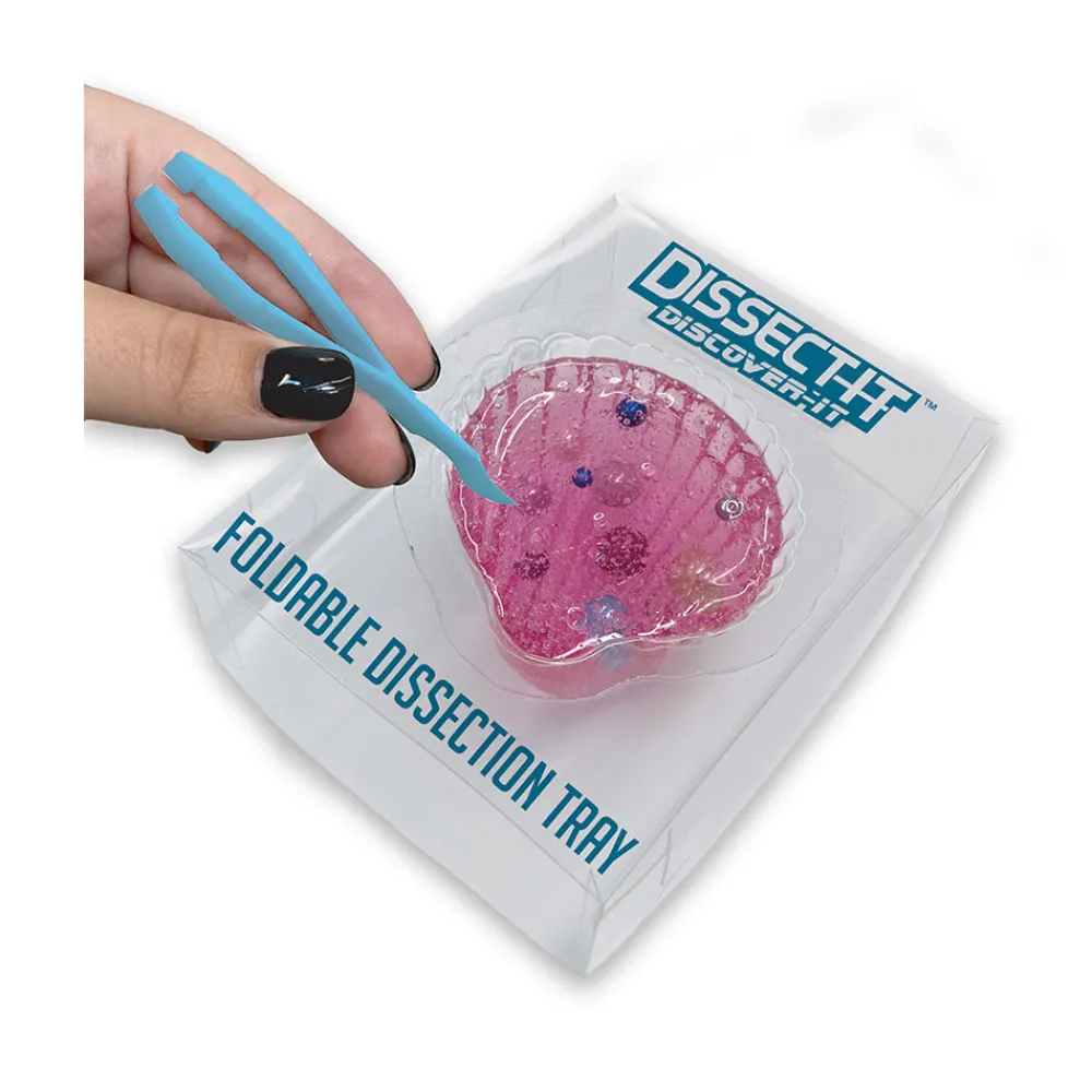 Dissect-It Dissect It - Discover It - Pearl Shucking Lab Hot
