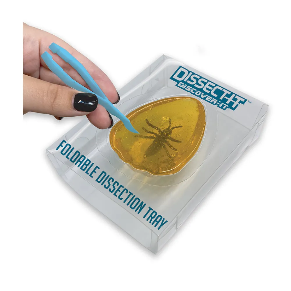 Dissect-It Dissect It - Discover It-Ancient Amber Lab Online