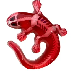 Mastermind Toys Dissect It - Salamander Fashion