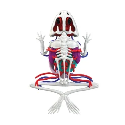 Dissect-It Frog Super Lab Hot