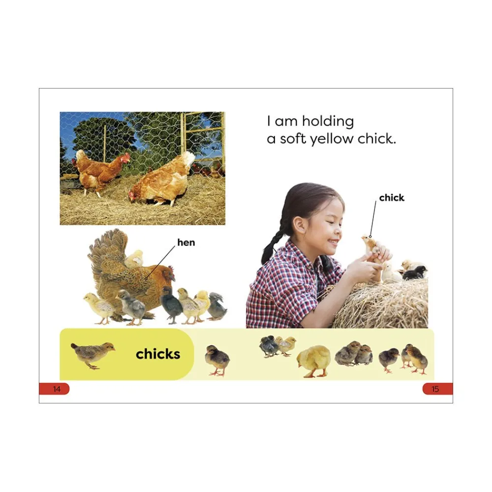 Mastermind Toys DK Super Readers Pre-Level A Day at the Petting Zoo Book Clearance