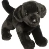 Douglas Brewster Black Lab Sale