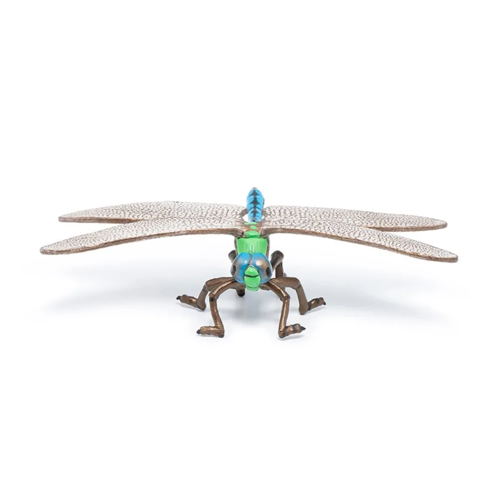 PAPO INTERNATIONAL INC. Dragonfly New