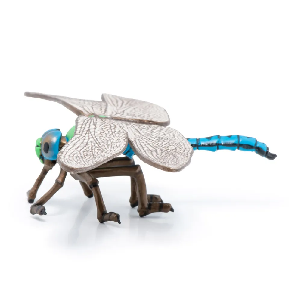 PAPO INTERNATIONAL INC. Dragonfly New