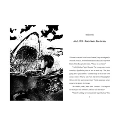 Mastermind Toys Escape from . . . the 1916 Shark Attacks Book Sale