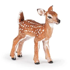 PAPO INTERNATIONAL INC. Fawn Sale