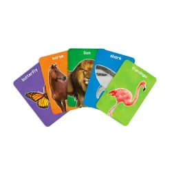 Grasper Global Inc First 100 Animals Flash Cards Sale