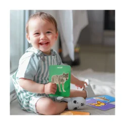 Grasper Global Inc First 100 Animals Flash Cards Sale
