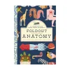 Jaguar Book Group Foldout Anatomy Outlet