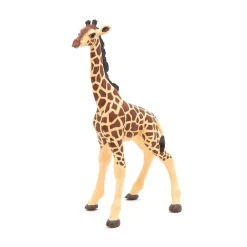 PAPO INTERNATIONAL INC. Giraffe Calf Best