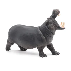 PAPO INTERNATIONAL INC. Hippopotamus Outlet