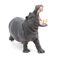 PAPO INTERNATIONAL INC. Hippopotamus Outlet
