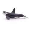 PAPO INTERNATIONAL INC. Killer Whale Hot