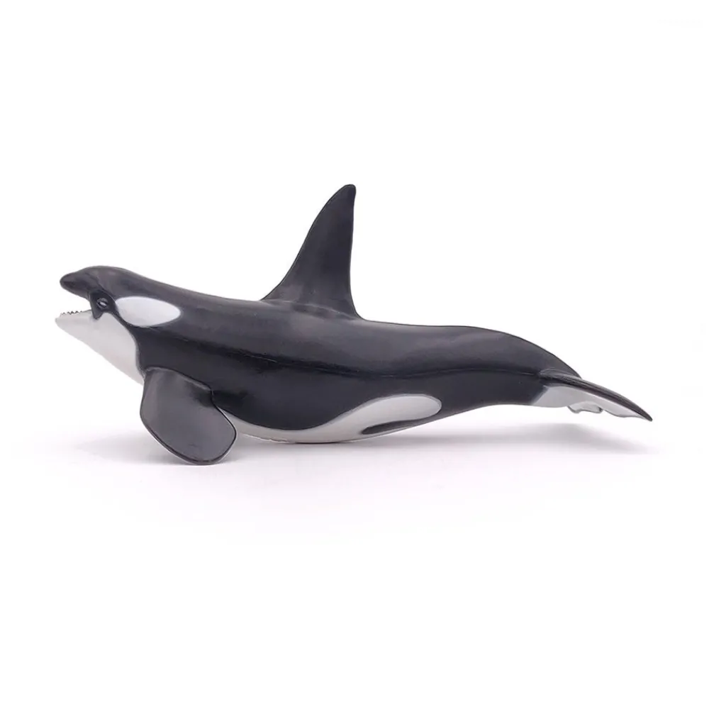 PAPO INTERNATIONAL INC. Killer Whale Hot